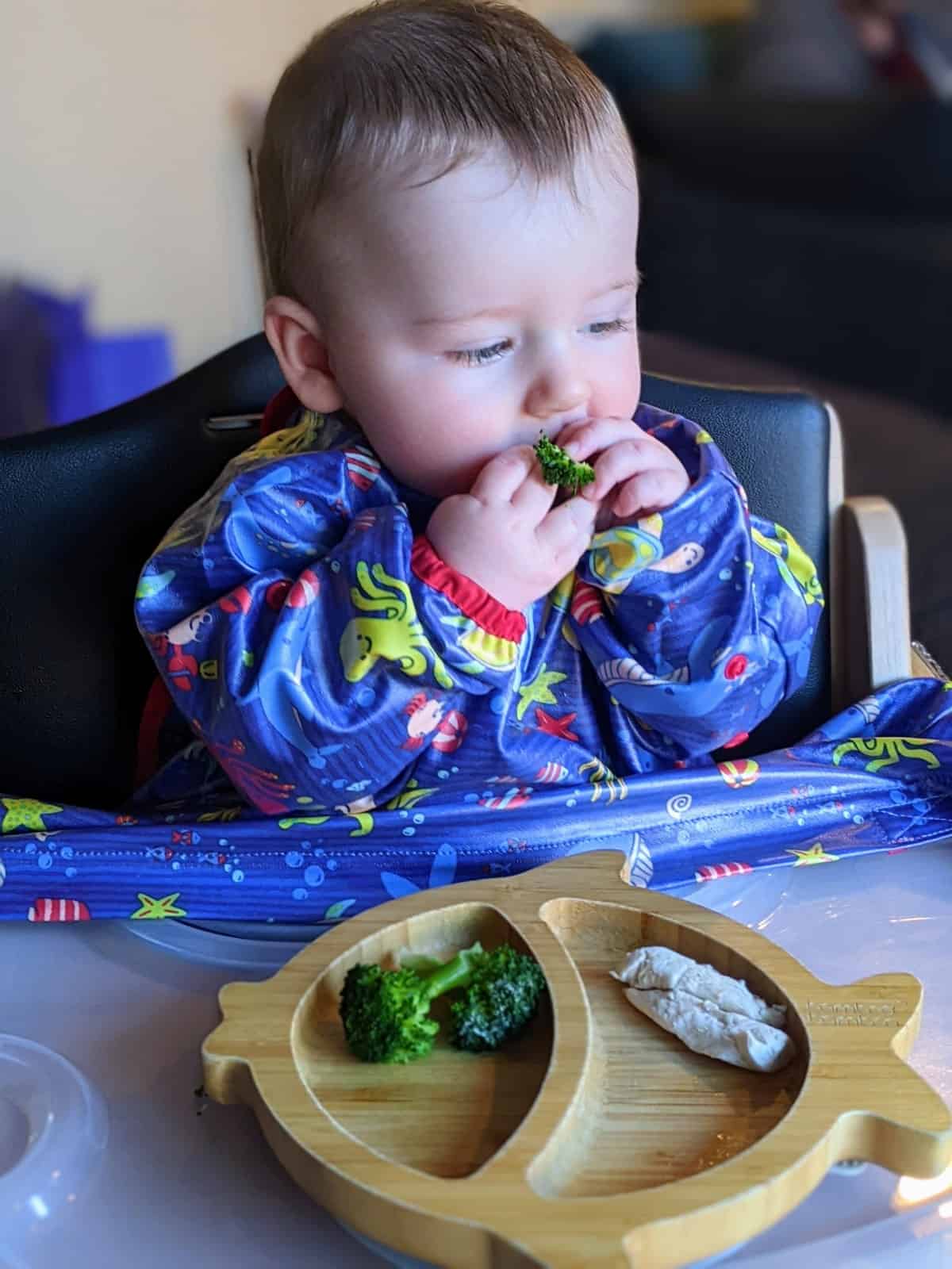 Baby eating broccoli florets and chicken strips.