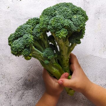 Child holding broccoli stems.