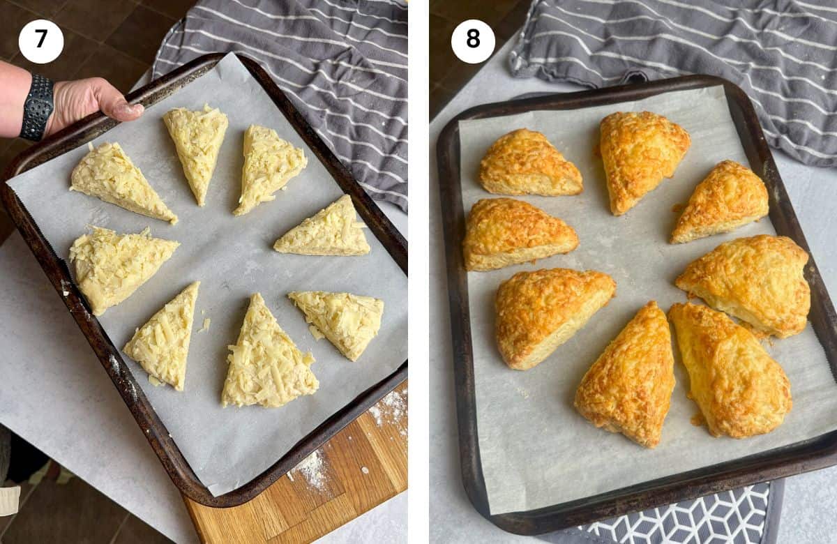 Step7: Dough cut into scones shape on a lined baking tray. Step8: Cheese scones when they come out of the oven.