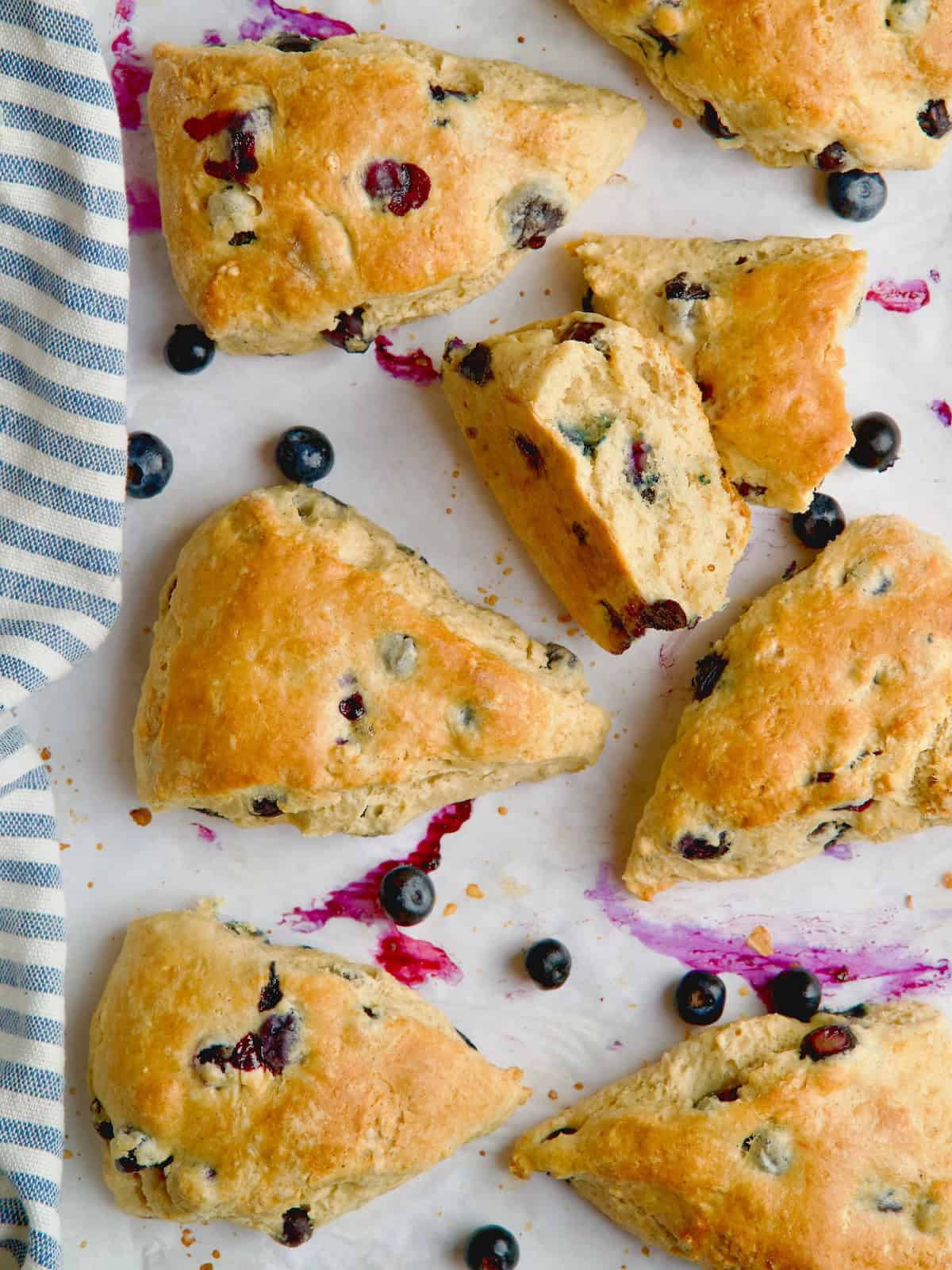 Blueberry scones on parchment paper with blueberries between them.