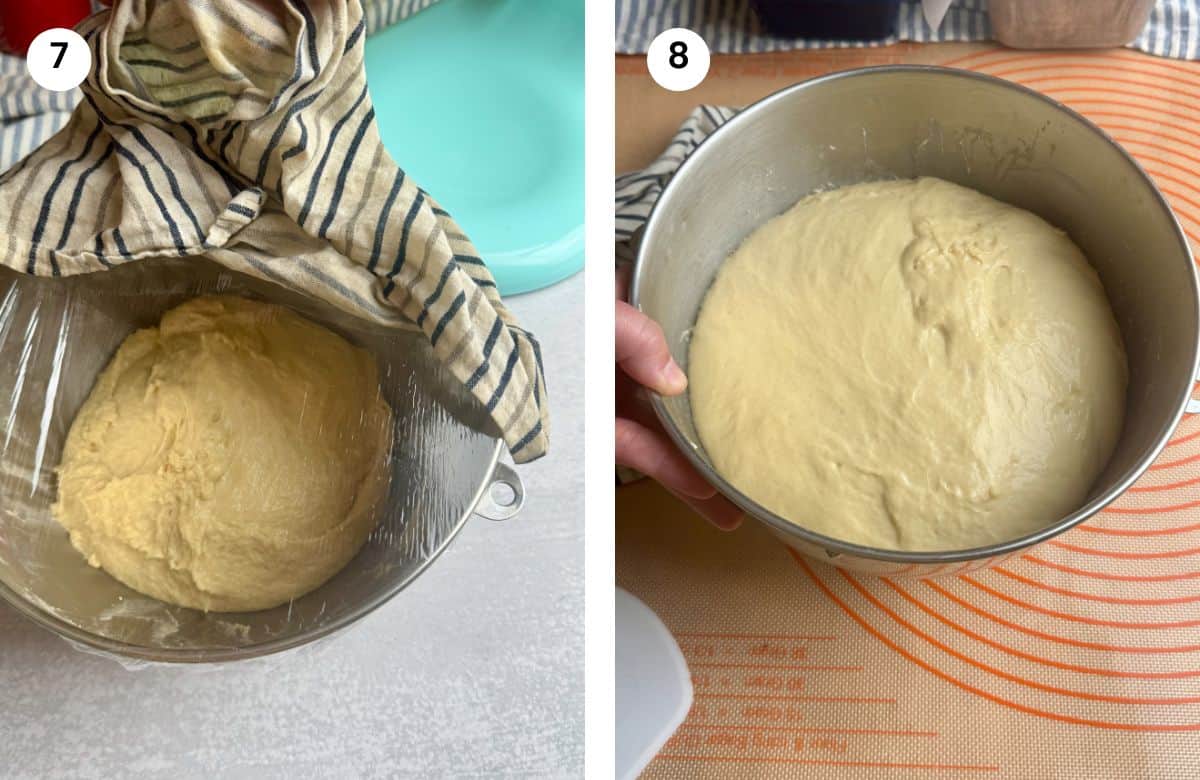 Step7: Resting the dough to rise. Step8: Dough doubled in size.