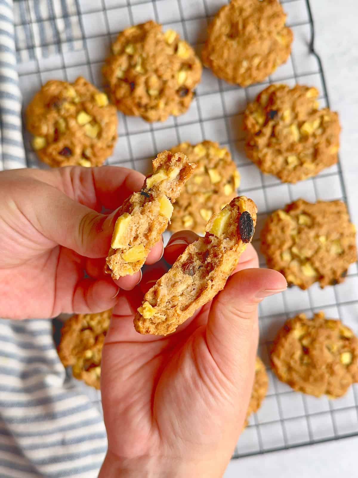 Apple oat cookie split in half.